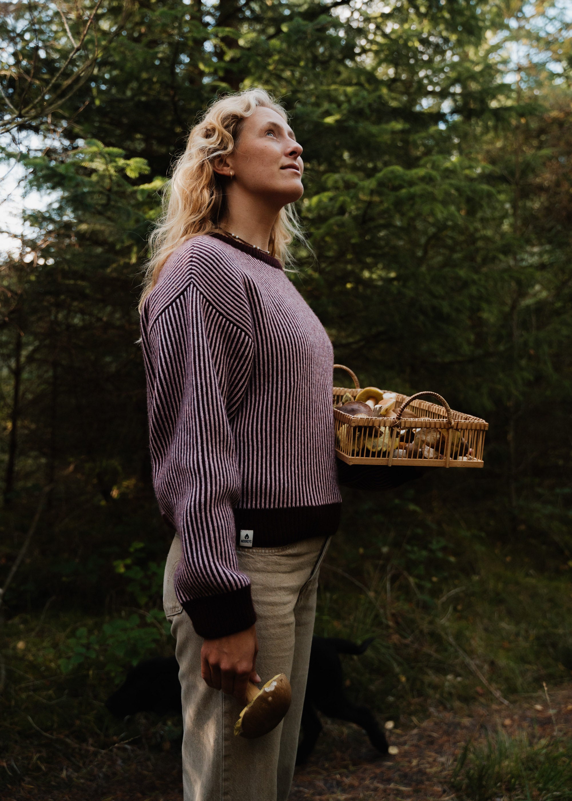 Strickpullover NELLIE KrimiziDuskPinkStriped