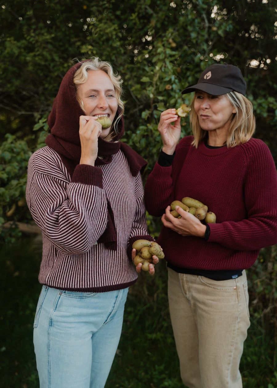 Bündel MUFFLER & NELLIE Violett